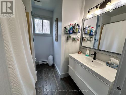 10 Fox Island, Georgina Islands (Fox Island), ON - Indoor Photo Showing Bathroom