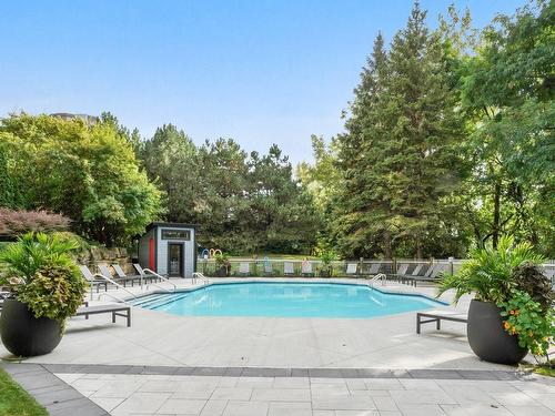 Piscine - 1510-1200 Ch. Du Golf, Montréal (Verdun/Île-Des-Soeurs), QC - Outdoor With In Ground Pool With Backyard