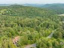 Land/Lot - Rue Ovide, Val-David, QC 