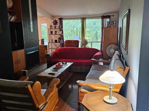 Salon - 711 Rue Spence, Shawinigan, QC - Indoor Photo Showing Living Room