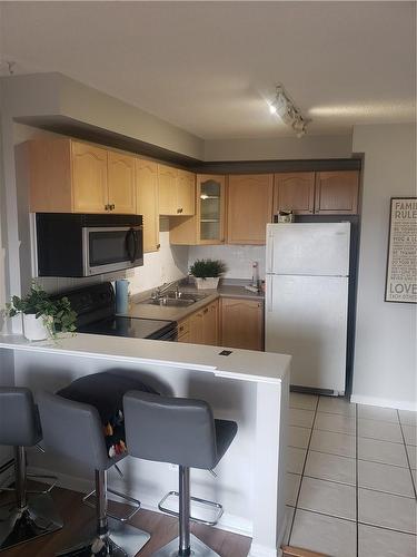 30 Summit Avenue|Unit #703, Hamilton, ON - Indoor Photo Showing Kitchen With Double Sink