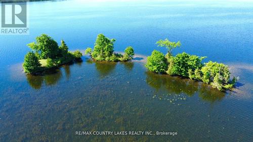 Lt 1 Island, Kawartha Lakes, ON 