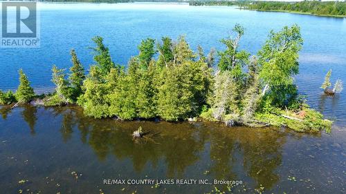 Lt 1 Island, Kawartha Lakes, ON 