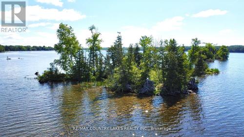 Lt 1 Island, Kawartha Lakes, ON 