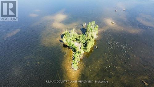 Lt 1 Island, Kawartha Lakes, ON 