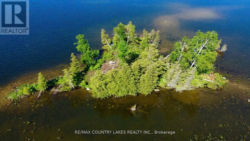 Lt 1 Island, Kawartha Lakes, ON 