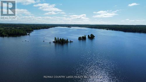 Lt 1 Island, Kawartha Lakes, ON 