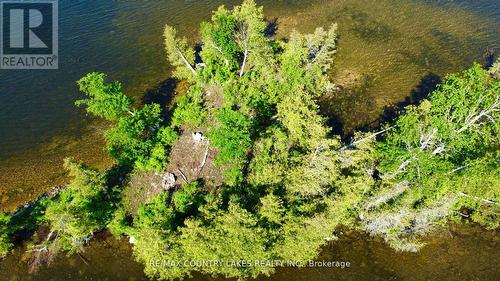 Lt 1 Island, Kawartha Lakes, ON 