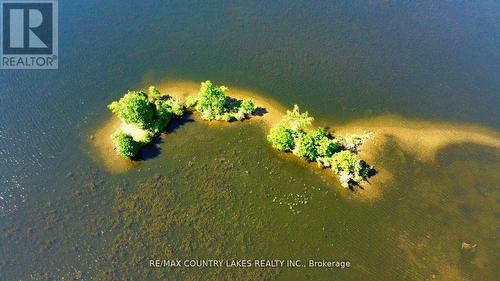 Lt 1 Island, Kawartha Lakes, ON 