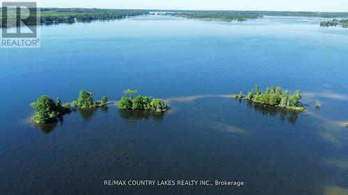 Lt 1 Island, Kawartha Lakes, ON 