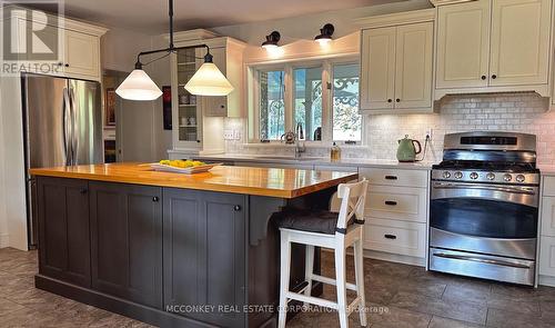 421 Meadowview Road, Kawartha Lakes (Omemee), ON - Indoor Photo Showing Kitchen With Upgraded Kitchen