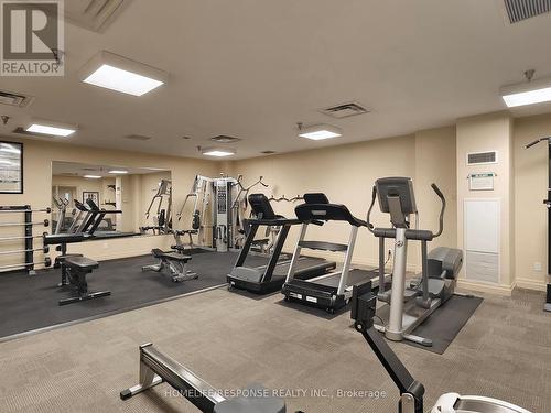 308 - 399 Elizabeth Street, Burlington (Brant), ON - Indoor Photo Showing Gym Room