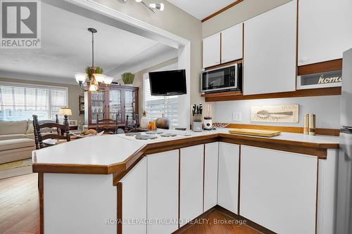 442 Beatrice Street, London, ON - Indoor Photo Showing Kitchen With Double Sink