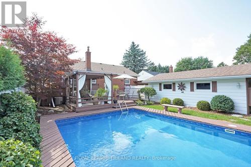 442 Beatrice Street, London, ON - Outdoor With In Ground Pool