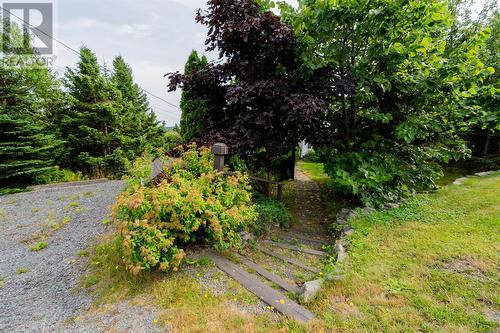 515 Indian Meal Line, Torbay, NL - Outdoor