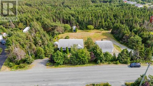 515 Indian Meal Line, Torbay, NL - Outdoor With View