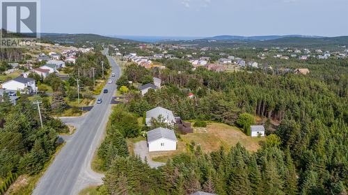 515 Indian Meal Line, Torbay, NL - Outdoor With View