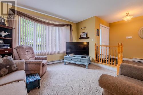 515 Indian Meal Line, Torbay, NL - Indoor Photo Showing Living Room