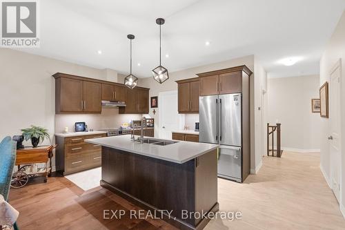 25 Andrew Lane, Thorold, ON - Indoor Photo Showing Kitchen With Stainless Steel Kitchen With Double Sink With Upgraded Kitchen