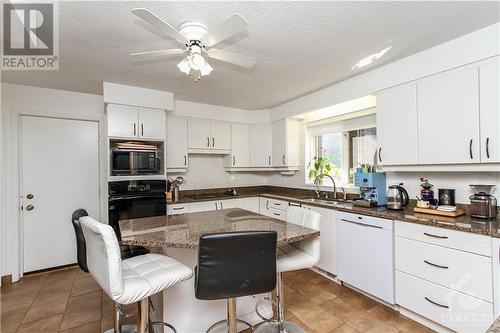 244 Tudor Place, Ottawa, ON - Indoor Photo Showing Kitchen With Double Sink