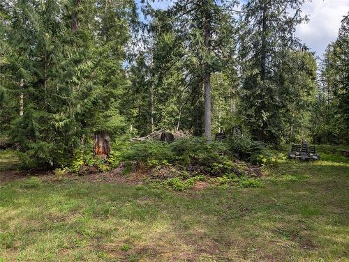 1574 Ireland Road, Seymour Arm, BC - Outdoor