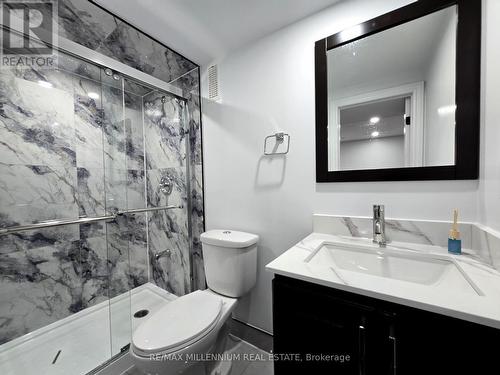 14 Charles Street, Brampton (Queen Street Corridor), ON - Indoor Photo Showing Bathroom