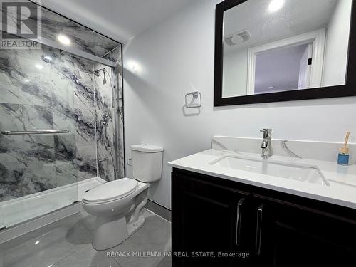 14 Charles Street, Brampton (Queen Street Corridor), ON - Indoor Photo Showing Bathroom