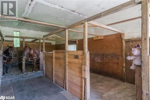 506 Cedar Glen Road, Dunsford, ON - Indoor With Storage