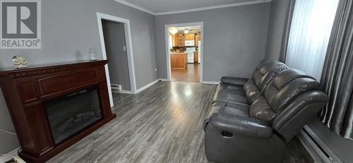 3 Harbour Road, Little Bay East, NL - Indoor Photo Showing Living Room With Fireplace