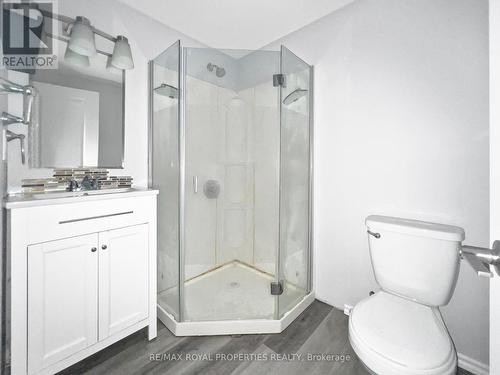 802 Viscount Road, London, ON - Indoor Photo Showing Bathroom