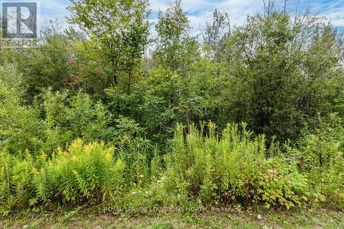 Lot 25 Robinson Road, Wasaga Beach, ON 