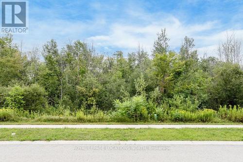 Lot 25 Robinson Road, Wasaga Beach, ON 