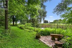 Private Pond, fantastic hockey rink in the winter. - 