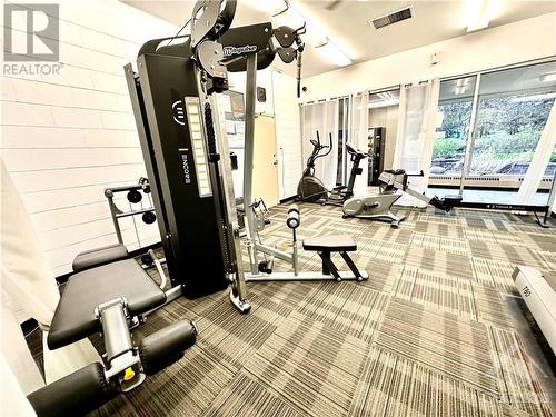 2020 Jasmine Crescent Unit#302, Ottawa, ON - Indoor Photo Showing Gym Room