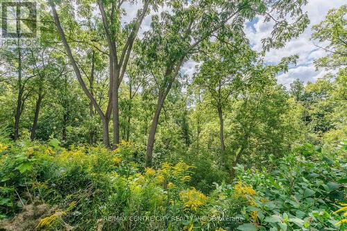 45 Hemlock Street, St. Thomas, ON - Outdoor