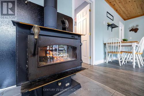 11085 Gull River, Minden Hills, ON - Indoor Photo Showing Living Room With Fireplace