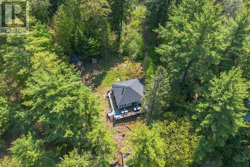 11085 Gull River, Minden Hills, ON - Outdoor