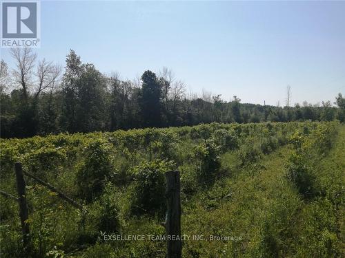 19307 Kenyon Concession Road 7 Road, North Glengarry, ON 