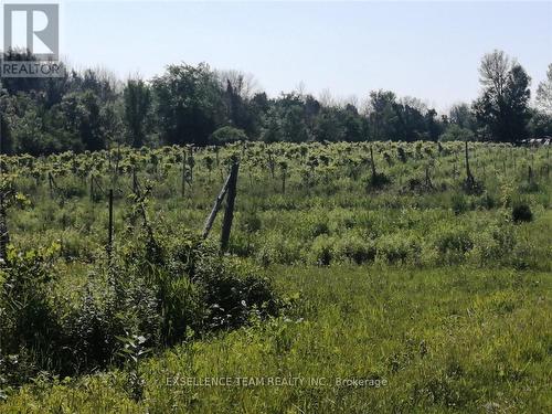 19307 Kenyon Concession Road 7 Road, North Glengarry, ON 