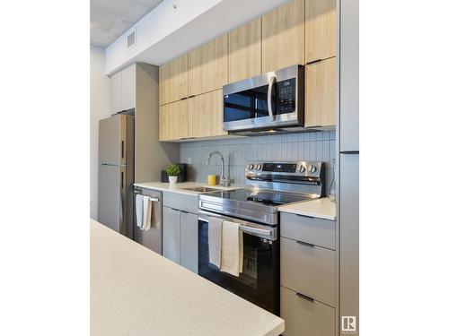 #316 11141 84 Av Nw, Edmonton, AB - Indoor Photo Showing Kitchen With Double Sink