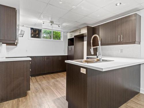 Kitchen - 6450 Boul. St-Michel, Montréal (Rosemont/La Petite-Patrie), QC - Indoor Photo Showing Kitchen With Double Sink With Upgraded Kitchen