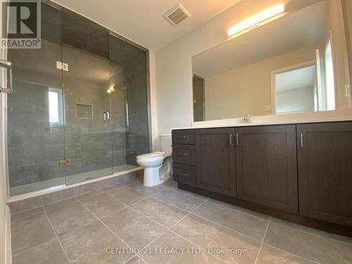 6 Cherry Blossom Heights, Hamilton, ON - Indoor Photo Showing Bathroom