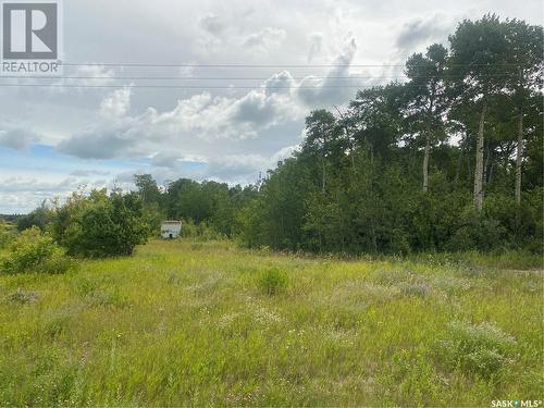 Rm Of Paddockwood 35 Acre Lot, Paddockwood Rm No. 520, SK 