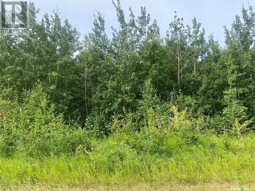 Rm Of Paddockwood 35 Acre Lot, Paddockwood Rm No. 520, SK 