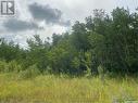 Rm Of Paddockwood 35 Acre Lot, Paddockwood Rm No. 520, SK 