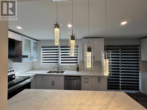 2015 Altona Road, Pickering (Rouge Park), ON - Indoor Photo Showing Kitchen With Double Sink With Upgraded Kitchen