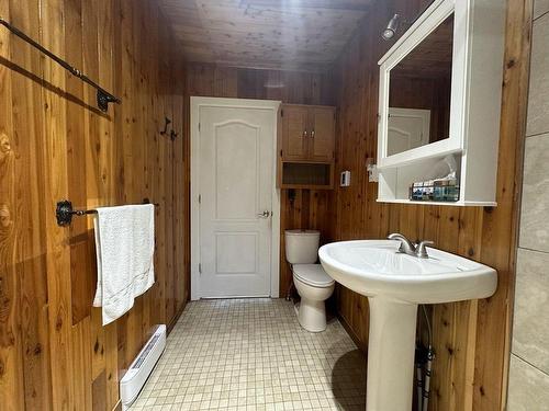 Salle de bains - 53 Rue Le Long-Du-Lac, Saint-Hippolyte, QC 