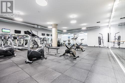 627 - 637 Lake Shore Boulevard W, Toronto (Niagara), ON - Indoor Photo Showing Gym Room