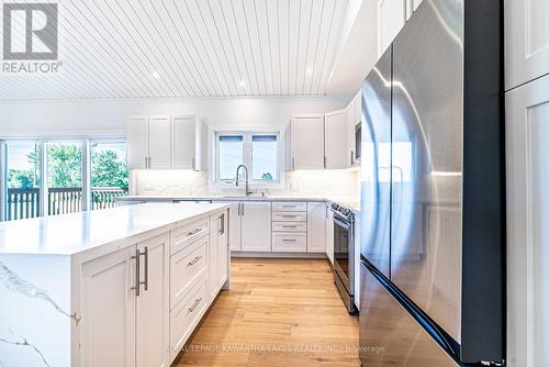 33 Coshs Road, Kawartha Lakes, ON - Indoor Photo Showing Kitchen With Upgraded Kitchen