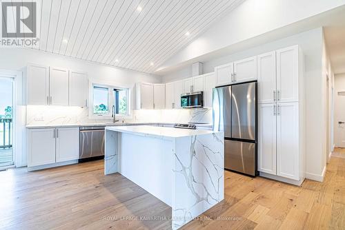 33 Coshs Road, Kawartha Lakes, ON - Indoor Photo Showing Kitchen With Upgraded Kitchen